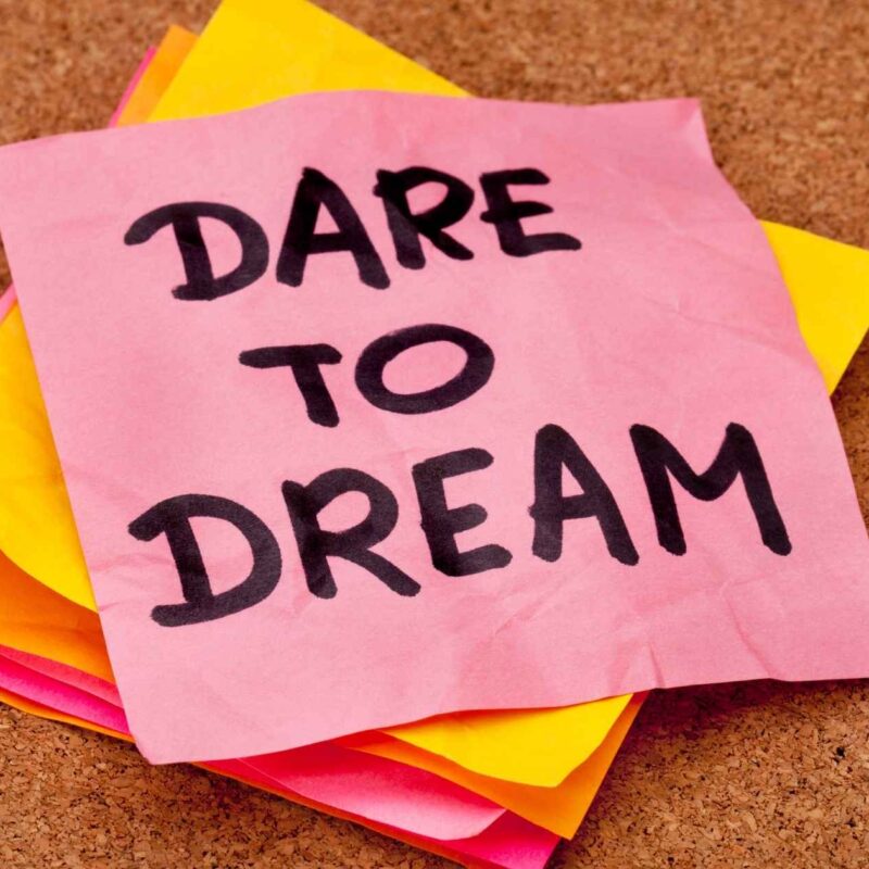Insurers that dare to dream